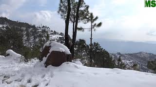 Snow Falls On The Mountain Of Kashmir 2024
