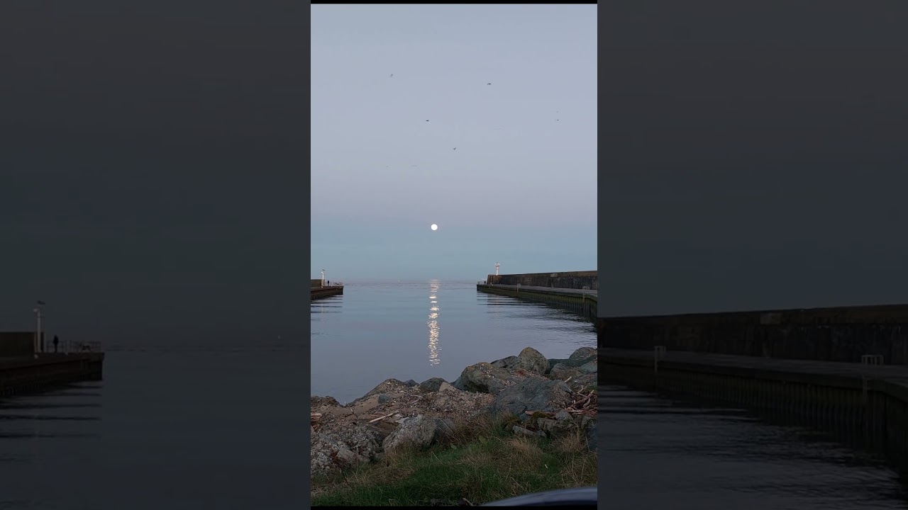 An Evening's Full Moon Fun - 01 FEB 2026🌕