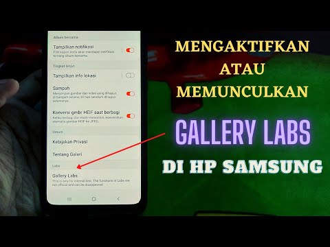 Cara Mengaktifkan / Memunculkan Fitur Gallery Labs Di HP Samsung - Fitur Tersembunyi