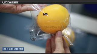 VT-160 packaging machine  for orange packing