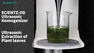 Ultrasonic extraction of plant leaves using a SCIENTZ ultrasonic disruptor