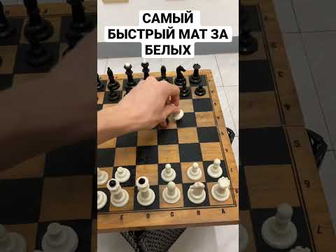 Самый быстрый мат в шахматах за белых. #Шахматы