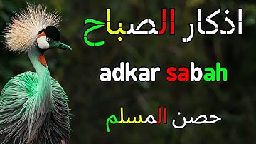 أذكار الصباح سكينة وراحة لبداية اليوم | علاء عقل