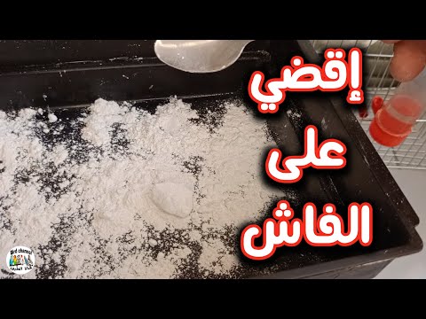 إقضي على الفاش بطريقة سهلة و فعالة 