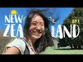 เรียนๆชิวๆที่นิวซีแลนด์~ | MayyR in New Zealand EP.1