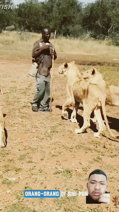 Hidup Berdampingan dengan binatang Buas 😱😱#trending #animals