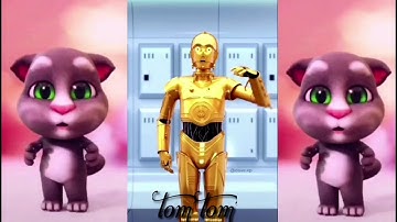 Nhạy theo điệu nhảy của các chú mèo nào các bạn ơi