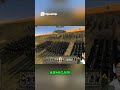 “Estos sí son soldados” — infantería profesional | Total War Attila