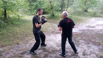 Wu Tai Chi video for 2017-2018, push hands, san sau, form