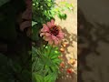 사랑한다고 말해줘  °    OST중 ♧