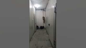 #power #king #servo #stabilizer (100 kva 370-470voltage) 5 year warranty. #electronic #transformers