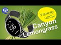 Canyon Lemongrass - стильные и тонкие умные часы / QUKE.RU /