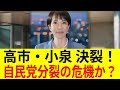 【衝撃】高市早苗首相の極秘計画が暴露！政権崩壊と国民への影響 4