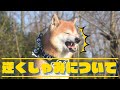 逆くしゃみについて