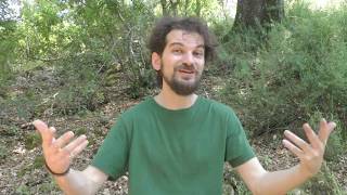 Come restare nella fede e nella fiducia nei momenti di sconforto? - Niccolò Angeli