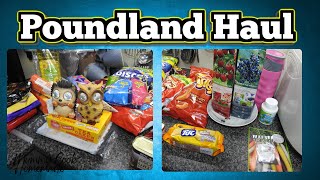 Poundland Haul| May 2024| Small Haul