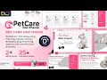 Divi Pet Care Child Theme Installation