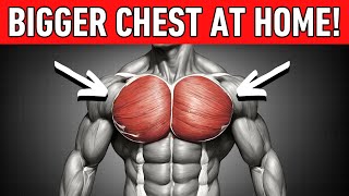 Get A Bigger Chest WITHOUT EQUIPMENT! (Step-by-Step Guide)