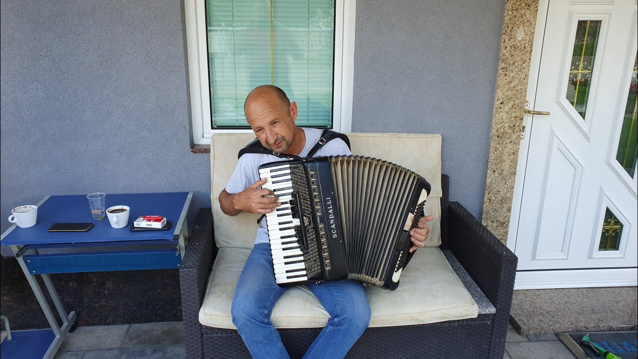 Goran Negotinac - Voli Harmoniku❤