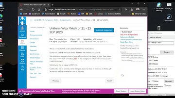 Attaching an Image to a Canvas Assignment