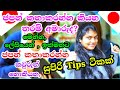 Easy Tips😎 for Spoken Japanese|ජපන් ලේසියෙන් කතාකරන්න මෙන්න සුපිරි👍 Tips ටිකක්|Sinhala Vlog