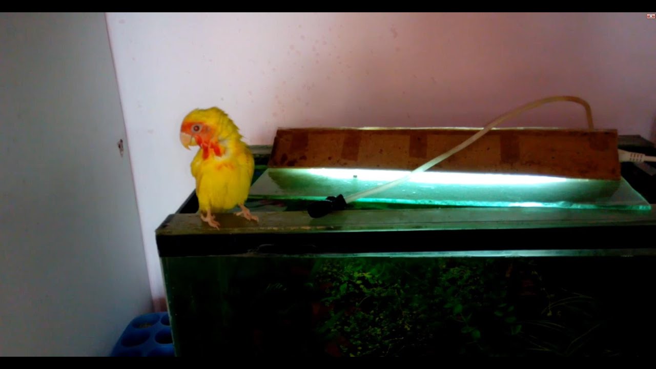 Приспособления для погружения