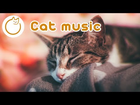 Музика для котів 15 годин Розслабся Мій Кіт гучні вибухи та феєрверки Вечірки
