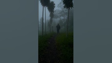 Tiny Steps → Big Wins 💥 | Just Keep Moving 🏃‍♂️