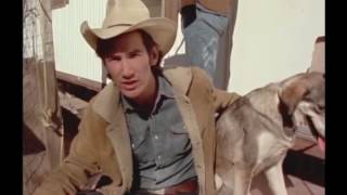 Townes, Rex And Royalty Checks