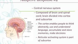 Body Homeostasis
