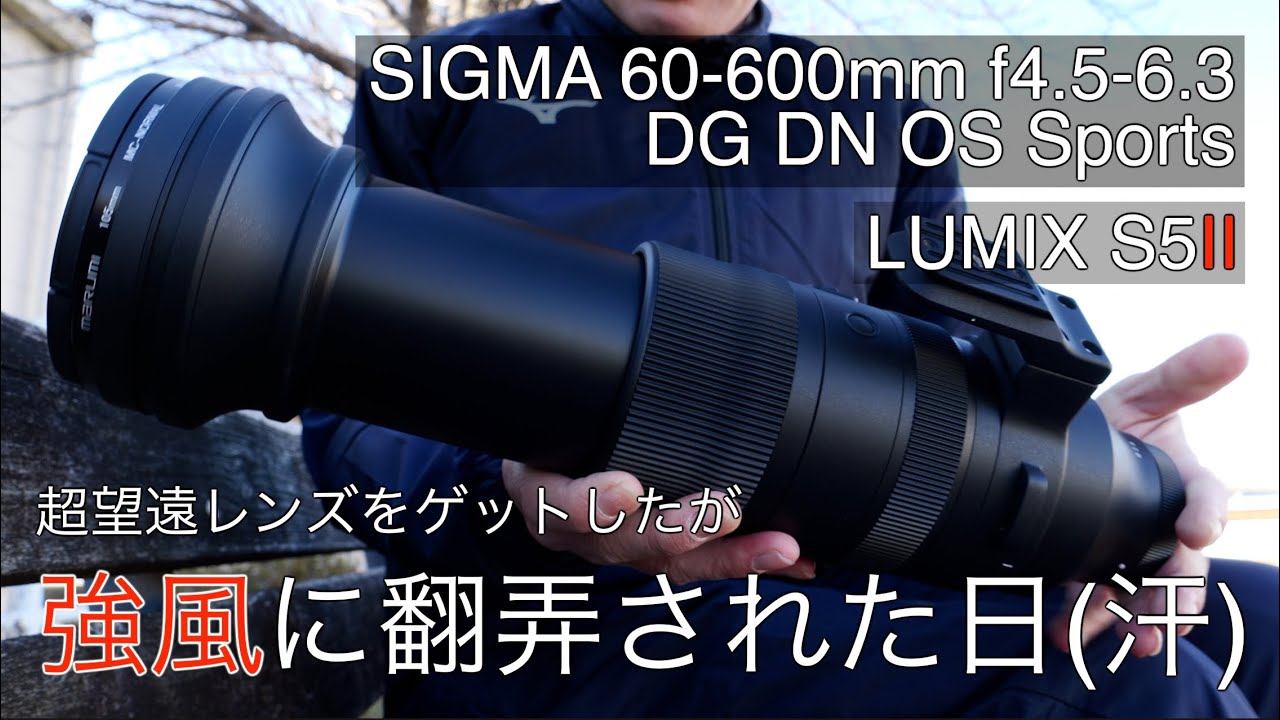 強風と大きなレンズ】SIGMA 60-600mm f4.5-6.3 DG DNを強風で使って 