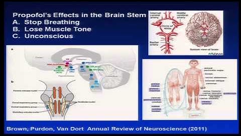 Tech Day 2013: Emery N. Brown - The Brain in Suspended States