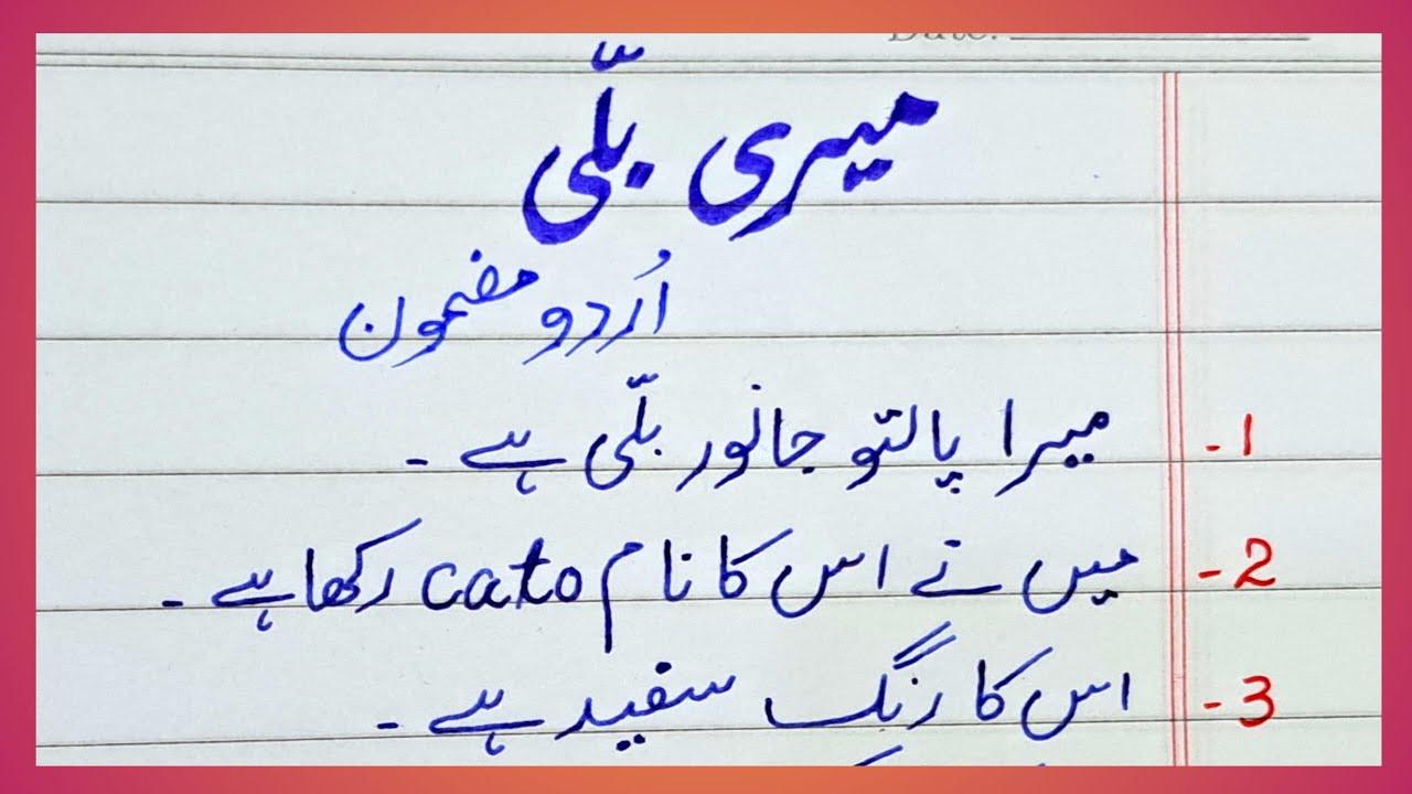 my cat essay for class 1 in urdu