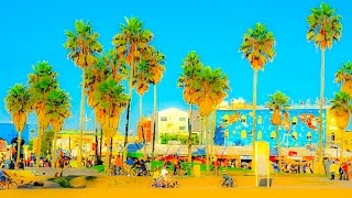 Venice beach, which receives millions of visitors a year, has been
labeled as "a cultural hub known for its eccentricities" well "global
tourist dest...