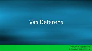 Pronunciation of the word(s) "Vas Deferens".