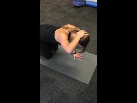 Kneeling Thoracic and Shoulder Mobility