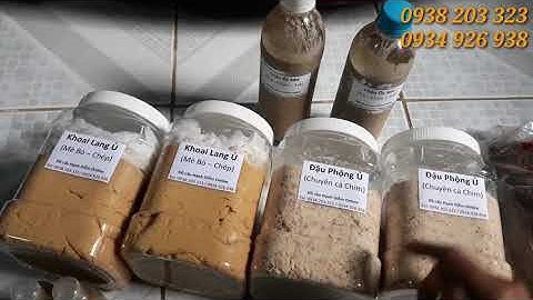 Tổng Hợp Tất Cả Mồi Câu Cá Tra Chim Trê Bén Nhất 2021 Của Mồi Câu Hạnh Diễm