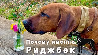 :    ,  !