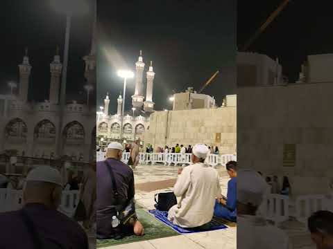   حمادة هلال محمد نبينا  