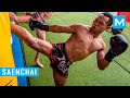 Saenchai muay thai training 2016  muscle madness