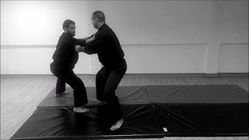 Yoko Nagare - Ryu Sui Iki - Ninjutsu klub Bujinkan Leskovac