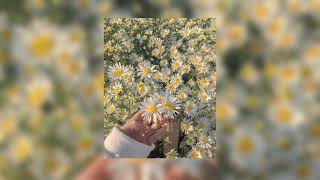 Die For You - The Weeknd Ariana Grande Remix Slowed Reverb