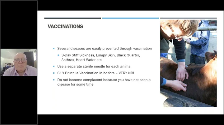 Biosecurity on dairy farms - with the Dairy Standard Agency