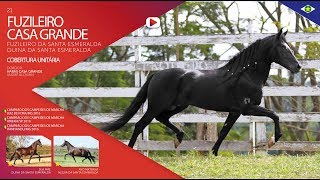 Fuzileiro Casa Grande screenshot 5