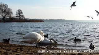 Harun Yoldaş - Yare Selam Söyleyin
