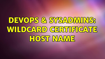 DevOps & SysAdmins: Wildcard certificate host name