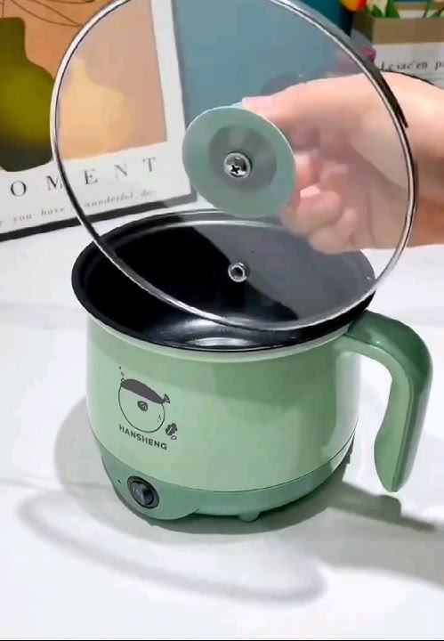 Mini Rice Cooker Review #trending #youtubeshorts #viralvideo