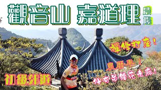 觀音山+嘉道理農場[香港行山郊遊好去處] 4K航拍初級行山郊遊之選坐車可達既香港第30高山峰新年賞花方面之選 有吊鐘花又有落羽松既可行山亦可遊園意料之外仲可以禪修大埔初級行山郊遊路線