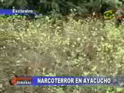 Narcoterrorismo en Ayacucho (parte 2 de 2)