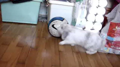 MOV07043